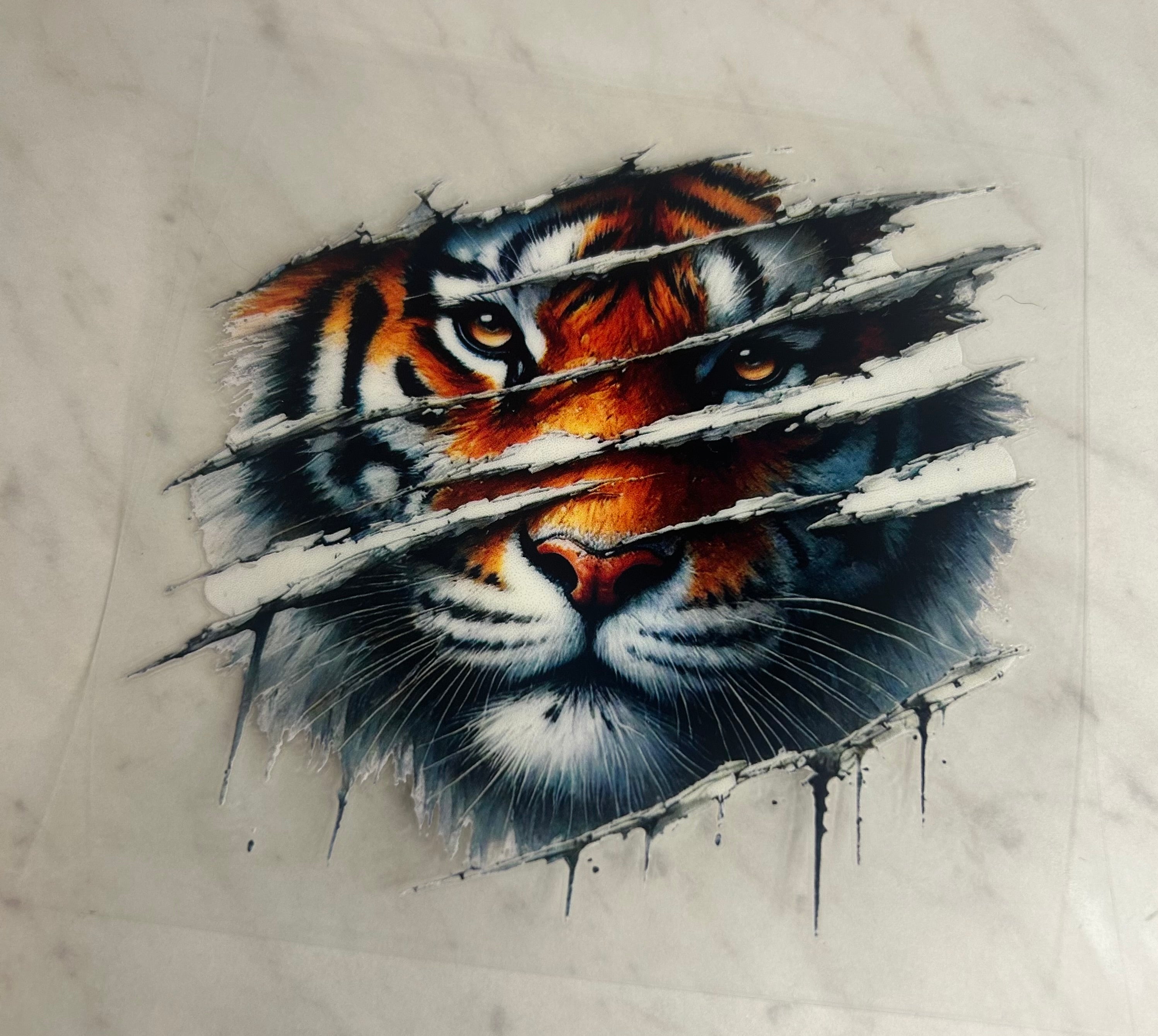 🐅 Fierce Tiger Wrap ✨
